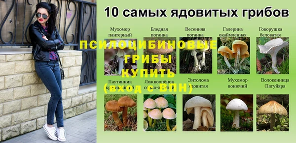 винт Богородицк