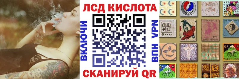 дарнет шоп  Чкаловск  Марки 25I-NBOMe 1500мкг 
