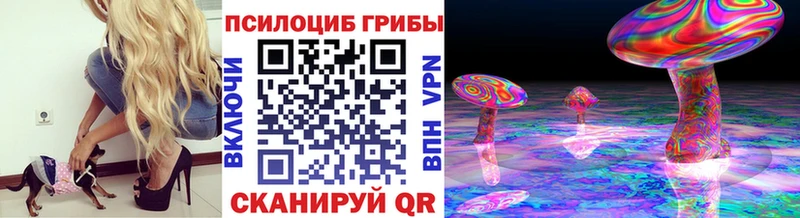 Псилоцибиновые грибы GOLDEN TEACHER  Чкаловск 